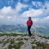Irena